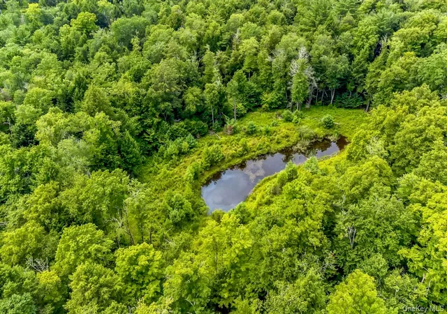 Photo 4 of Land for sale at 668 Starlight Rd, Thompson, NY 12701 | MLS# 1060202 | Listing updated on 2026-10-08