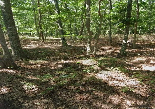 Photo 3 of Land for sale at 13 Wainscott NW Rd, Wainscott, NY 11975 | MLS# 1060521 | Listing updated on 2026-10-08