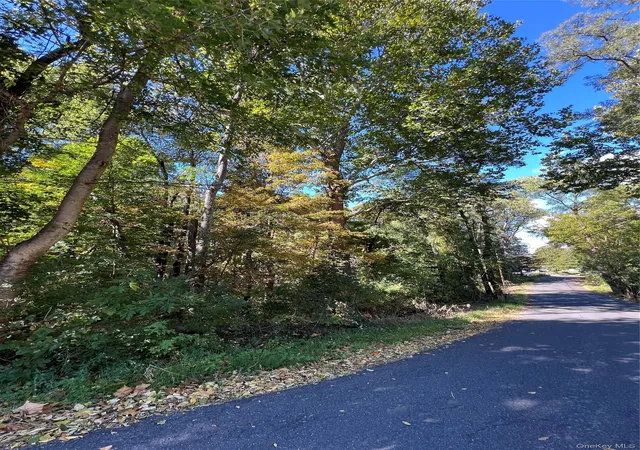 Photo 3 of Land for sale at 161 E Market St, Rhinebeck, NY 12572 | MLS# 1060603 | Listing updated on 2026-10-09