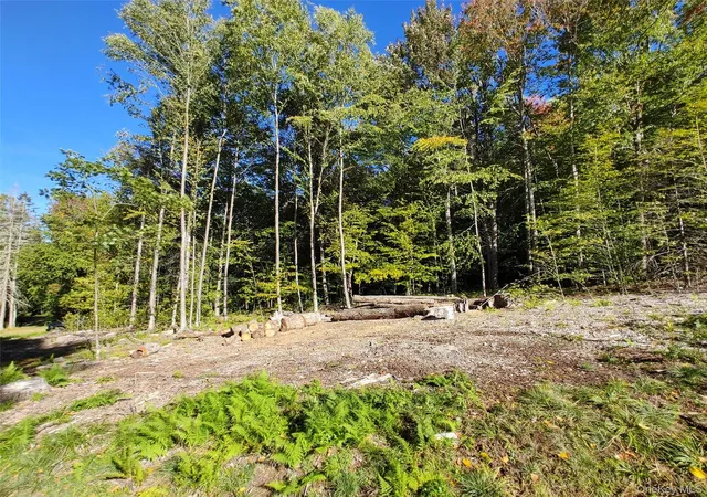 Photo 2 of Land for sale at 27 Warren Todd Subdivision Dr, Arkville, NY 12406 | MLS# 1060998 | Listing updated on 2026-10-09