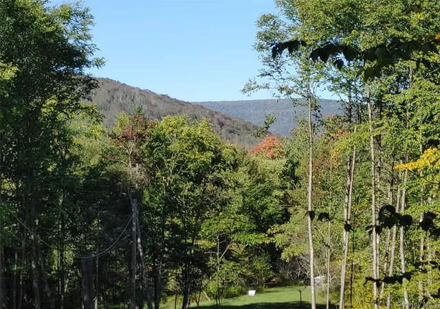 Photo 3 of Land for sale at 27 Warren Todd Subdivision Dr, Arkville, NY 12406 | MLS# 1060998 | Listing updated on 2026-10-09