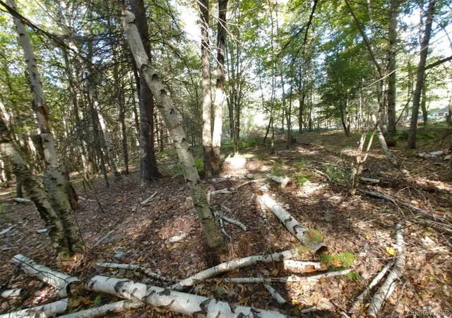 Photo 3 of Land for sale at 27 Warren Todd Subdivision Dr, Arkville, NY 12406 | MLS# 1060998 | Listing updated on 2026-10-09