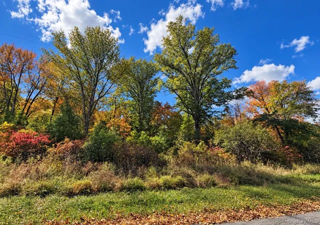 Land for sale at Rutsonville Rd, Wallkill, NY 12589 | MLS# 1061145