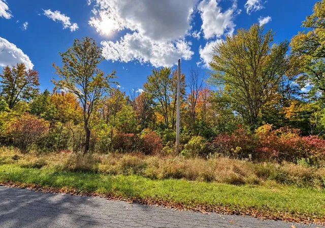 Photo 2 of Land for sale at Rutsonville Rd, Wallkill, NY 12589 | MLS# 1061145 | Listing updated on 2026-10-10