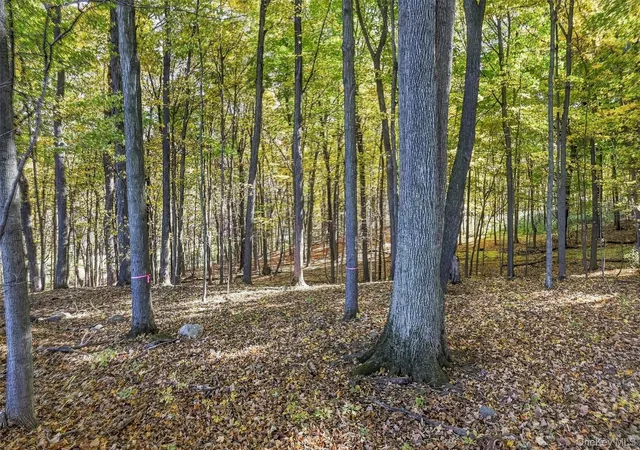 Photo 1 of Land for sale at Dorian Way, Hamptonburgh, NY 10916 | MLS# 1061213 | Listing updated on 2026-10-20