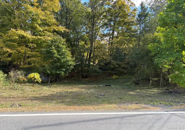 Photo 1 of Land for sale at 5417 5419 Route 212, Shandaken, NY 12457 | MLS# 1061256 | Listing updated on 2026-10-11