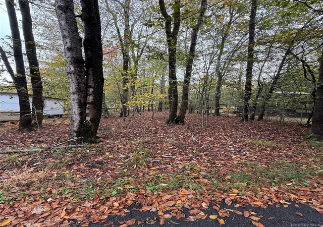 Photo 4 of Single family home for sale at 6 W Oakland Dr, White Lake, NY 12786 | MLS# 1061593 | Listing updated on 2026-10-12