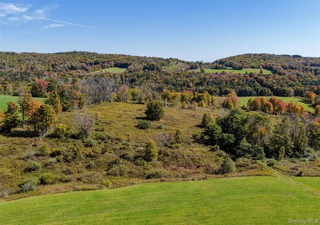 Photo 4 of Land for sale at Tbd Kratz Rd, Delaware, NY 12723 | MLS# 1062489 | Listing updated on 2026-10-16