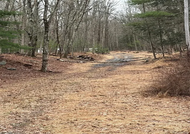 Photo 1 of Land for sale at Red Hl Rd, Mamakating, NY 12790 | MLS# 1062819 | Listing updated on 2026-10-17
