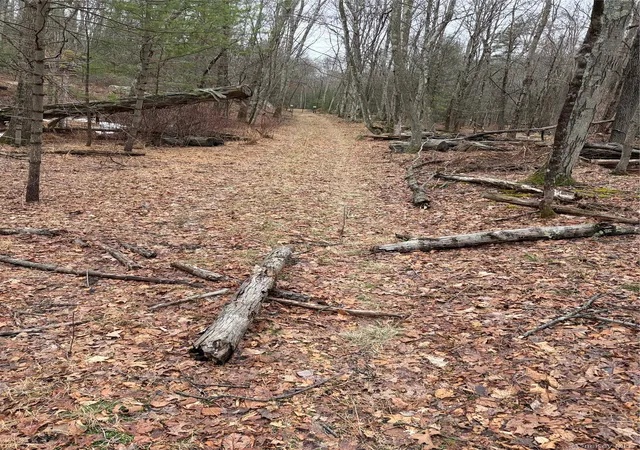 Photo 3 of Land for sale at Red Hl Rd, Mamakating, NY 12790 | MLS# 1062819 | Listing updated on 2026-10-17