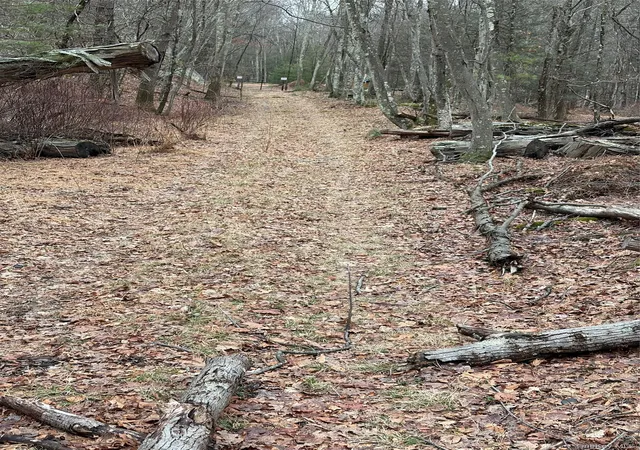 Photo 3 of Land for sale at Red Hl Rd, Mamakating, NY 12790 | MLS# 1062819 | Listing updated on 2026-10-17
