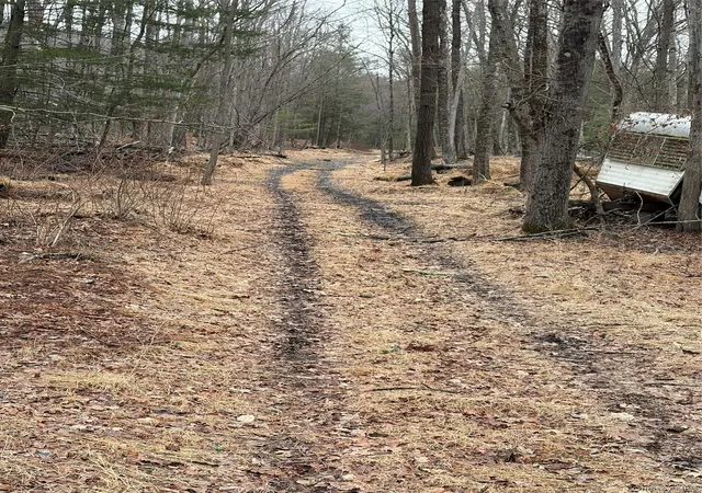 Photo 4 of Land for sale at Red Hl Rd, Mamakating, NY 12790 | MLS# 1062819 | Listing updated on 2026-10-17