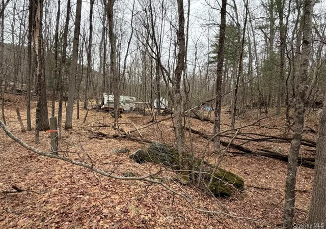 Photo 3 of Land for sale at 5798 State Route 42, Fallsburg, NY 12733 | MLS# 1063545 | Listing updated on 2026-10-17