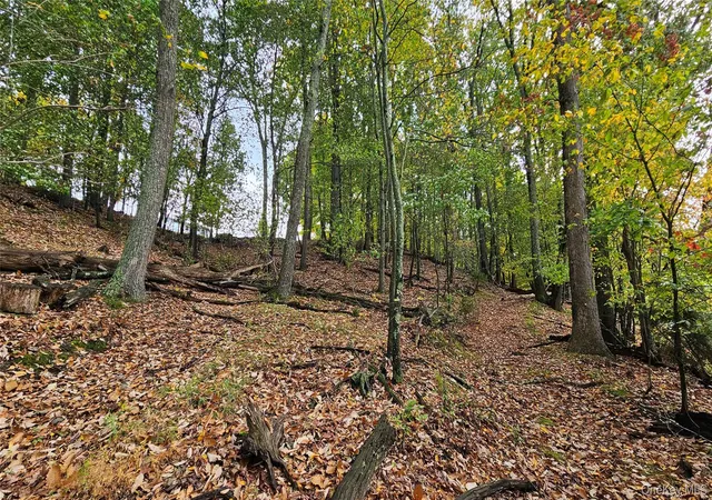 Photo 3 of Land for sale at X Spruce Rd, Mamakating, NY 10940 | MLS# 1063672 | Listing updated on 2026-10-21