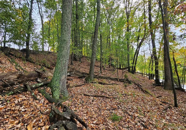 Photo 3 of Land for sale at X Spruce Rd, Mamakating, NY 10940 | MLS# 1063672 | Listing updated on 2026-10-21