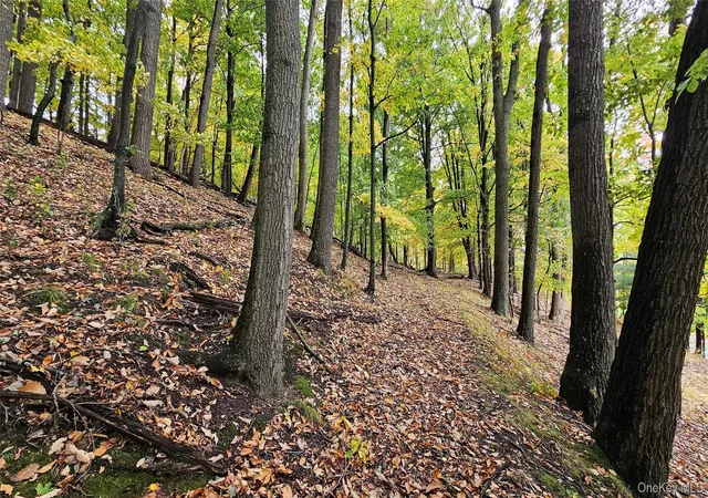 Photo 4 of Land for sale at X Spruce Rd, Mamakating, NY 10940 | MLS# 1063672 | Listing updated on 2026-10-21
