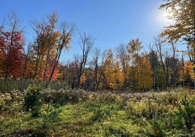 Photo 1 of Land for sale at Painter Hl Rd, Mamakating, NY 12790 | MLS# 1063897 | Listing updated on 2026-10-21
