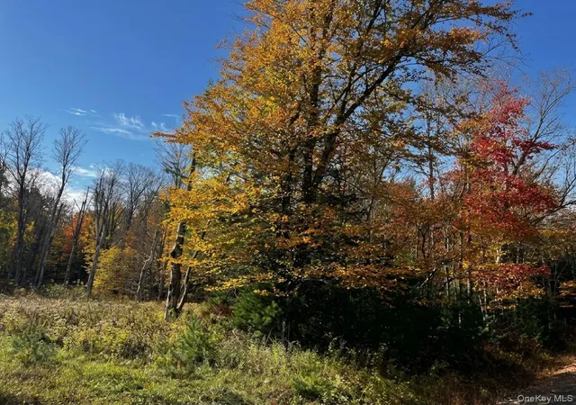 Photo 2 of Land for sale at Painter Hl Rd, Mamakating, NY 12790 | MLS# 1063897 | Listing updated on 2026-10-21