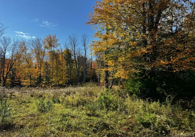 Photo 3 of Land for sale at Painter Hl Rd, Mamakating, NY 12790 | MLS# 1063897 | Listing updated on 2026-10-21