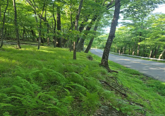 Photo 3 of Land for sale at Tbd Bottling Works, Cragsmoor, NY 12420 | MLS# 1064023 | Listing updated on 2026-10-21