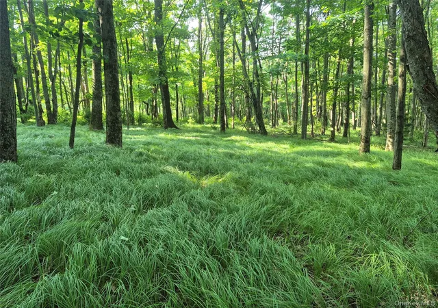 Photo 3 of Land for sale at Tbd Bottling Works, Cragsmoor, NY 12420 | MLS# 1064023 | Listing updated on 2026-10-21