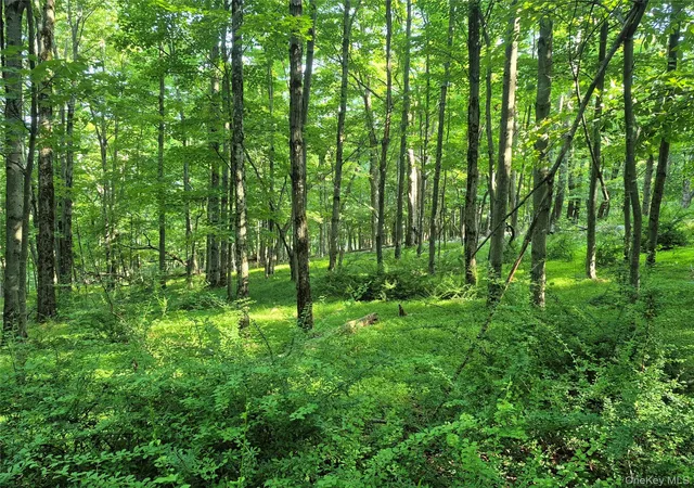 Photo 4 of Land for sale at Tbd Bottling Works, Cragsmoor, NY 12420 | MLS# 1064023 | Listing updated on 2026-10-21
