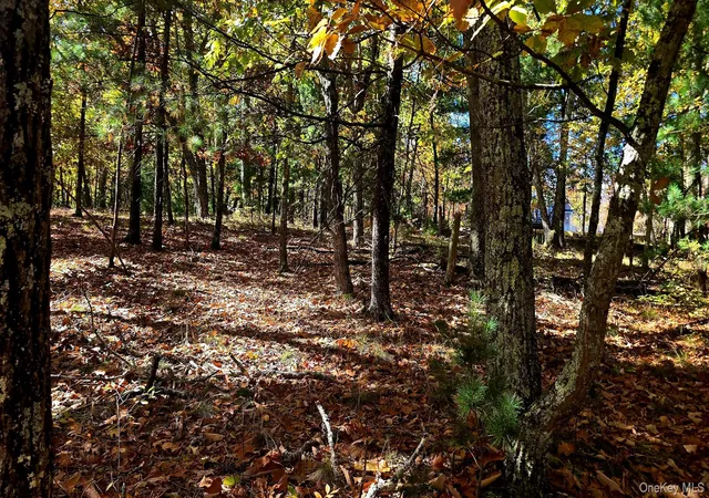 Photo 1 of Land for sale at Chestnut St W, Mamakating, NY 12790 | MLS# 1064110 | Listing updated on 2026-10-22