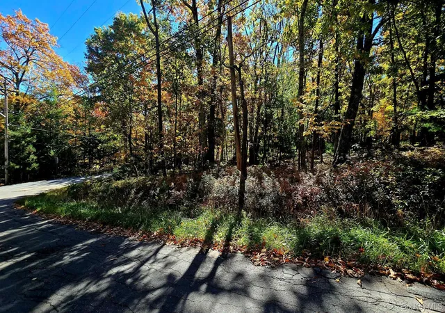 Photo 2 of Land for sale at Chestnut St W, Mamakating, NY 12790 | MLS# 1064110 | Listing updated on 2026-10-22
