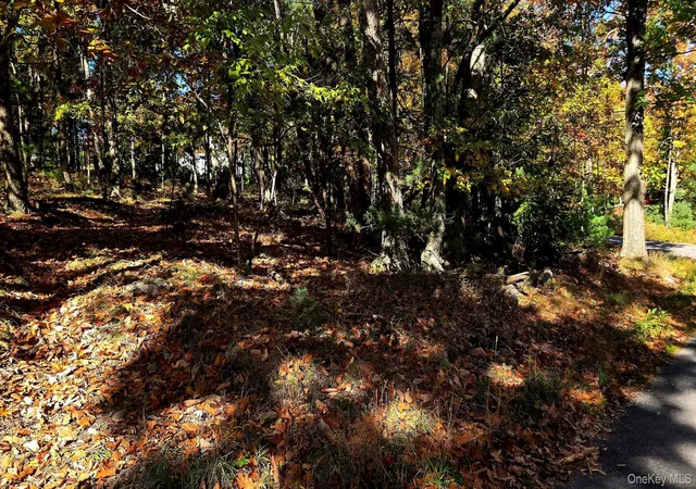 Photo 3 of Land for sale at Chestnut St W, Mamakating, NY 12790 | MLS# 1064110 | Listing updated on 2026-10-22