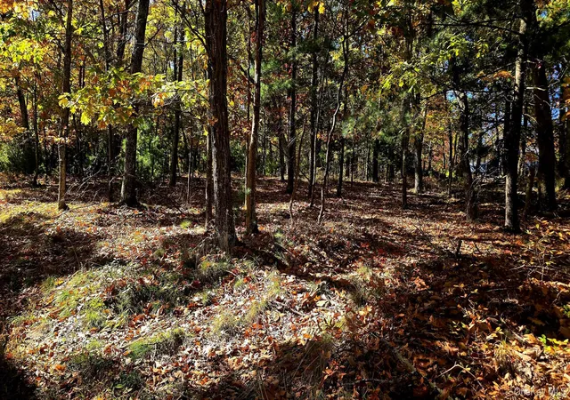 Photo 3 of Land for sale at Chestnut St W, Mamakating, NY 12790 | MLS# 1064110 | Listing updated on 2026-10-22