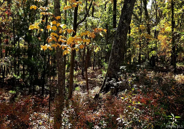 Photo 4 of Land for sale at Chestnut St W, Mamakating, NY 12790 | MLS# 1064110 | Listing updated on 2026-10-22