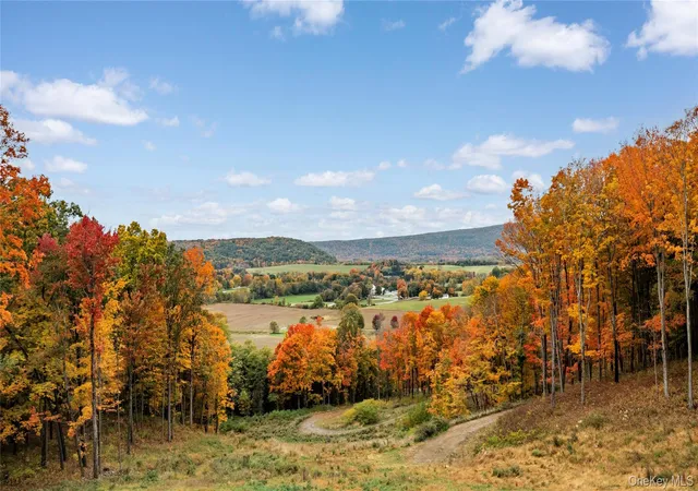 Photo 1 of Land for sale at 0 County Rt 83, Pine Plains, NY 12567 | MLS# 1065996 | Listing updated on 2026-10-23