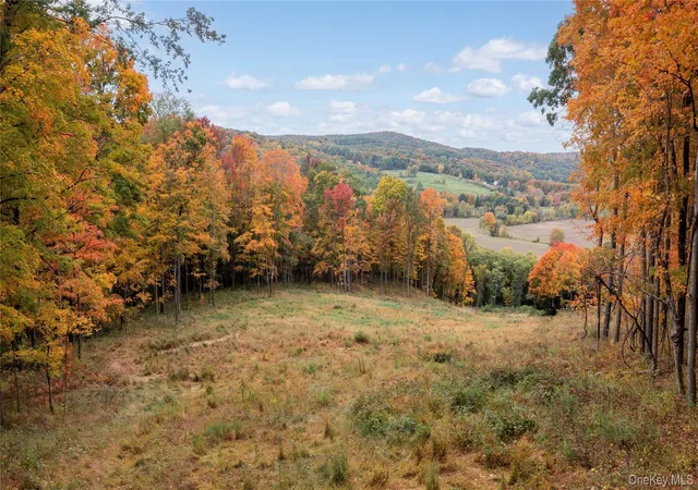 Photo 3 of Land for sale at 0 County Rt 83, Pine Plains, NY 12567 | MLS# 1065996 | Listing updated on 2026-10-23