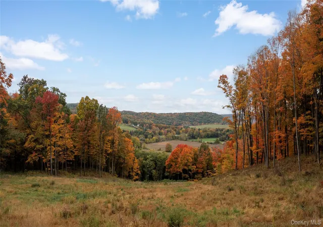 Photo 3 of Land for sale at 0 County Rt 83, Pine Plains, NY 12567 | MLS# 1065996 | Listing updated on 2026-10-23