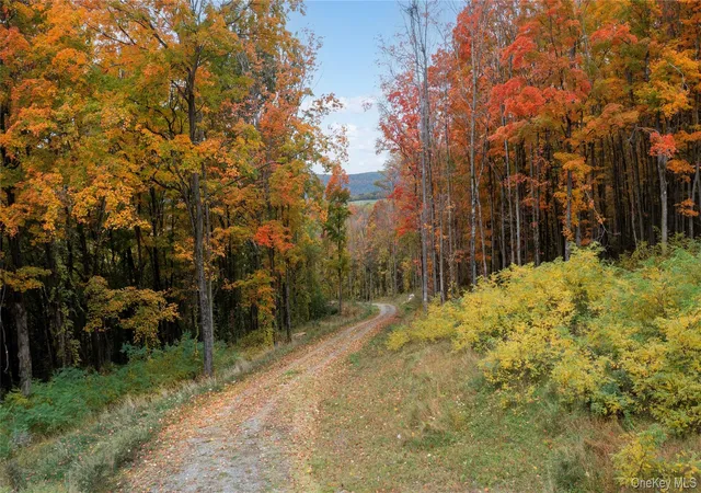 Photo 4 of Land for sale at 0 County Rt 83, Pine Plains, NY 12567 | MLS# 1065996 | Listing updated on 2026-10-23