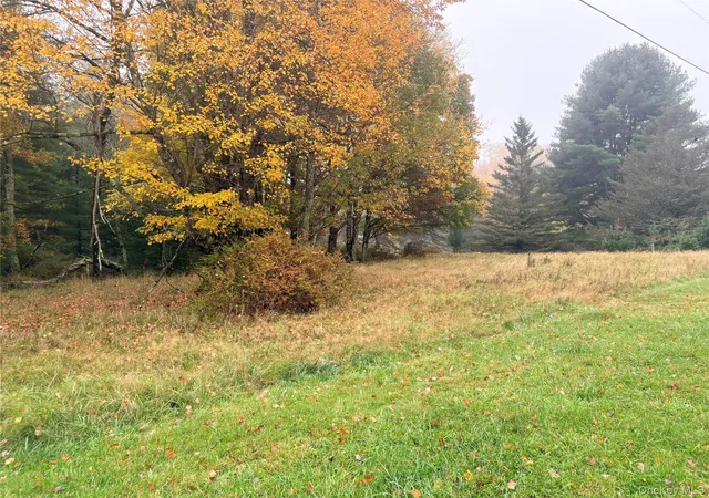 Photo 1 of Land for sale at Horseshoe Lake Rd, Bethel, NY 12720 | MLS# 1067217 | Listing updated on 2026-10-27