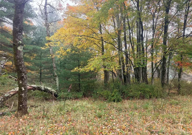 Photo 3 of Land for sale at Horseshoe Lake Rd, Bethel, NY 12720 | MLS# 1067217 | Listing updated on 2026-10-27