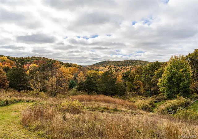 Photo 2 of Single family home for sale at 38 Sigler Rd, Gallatin, NY 12567 | MLS# 1067287 | Listing updated on 2026-10-29