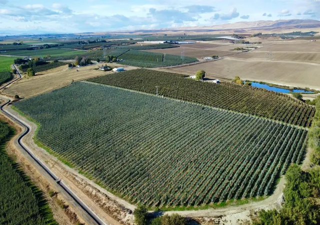 image of 1870 Phipps Rd, Sunnyside, WA 98944 | MLS# 291580