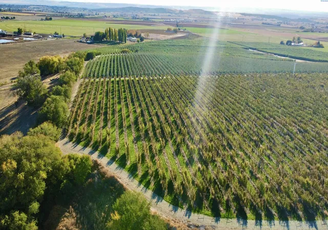 image of 1870 Phipps Rd, Sunnyside, WA 98944 | MLS# 291580