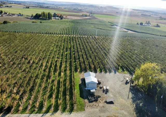 image of 1870 Phipps Rd, Sunnyside, WA 98944 | MLS# 291580