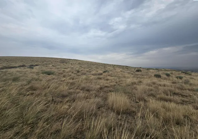 Photo 4 of Sale Pending at Nka S Olympia St (9033 Acres), Kennewick, WA 99337 | MLS# 286389 | Listing updated on 2025-11-24