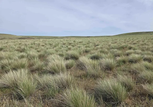 Homes for sale in Mabton, WA | 25 Turpin Rd (Lot 5), Mabton, WA 98935 | MLS# 292859