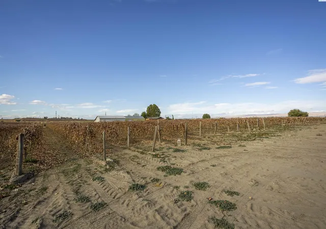 Photo 3 of Land for sale at Tbd Forsell Rd, Grandview, WA 98930 | MLS# PAC279852 | Listing updated on 2026-04-21