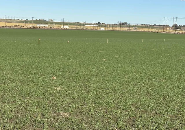 Photo 3 of Land for sale at Nka Selph Landing Rd (parcel B), Pasco, WA 99301 | MLS# PAC288489 | Listing updated on 2026-04-21