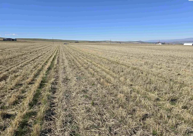 Photo 3 of Land for sale at 50411 C Williams Rd, Kennewick, WA 99338 | MLS# PAC291016 | Listing updated on 2026-10-23
