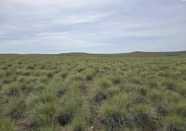 Photo 2 of Land for sale at 25 Turpin Rd (lot 5), Mabton, WA 98935 | MLS# PAC292859 | Listing updated on 2026-10-17