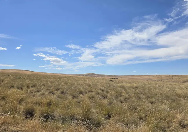 Homes for sale in Mabton, WA | Lot 6 Turpin Rd, Mabton, WA 98935 | MLS# 294497