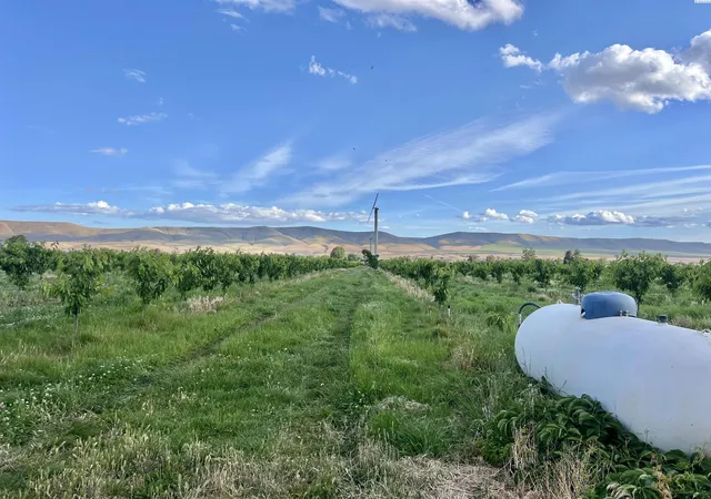 image of Tbd Robinson Rd, Grandview, WA 98930 | MLS# 293225