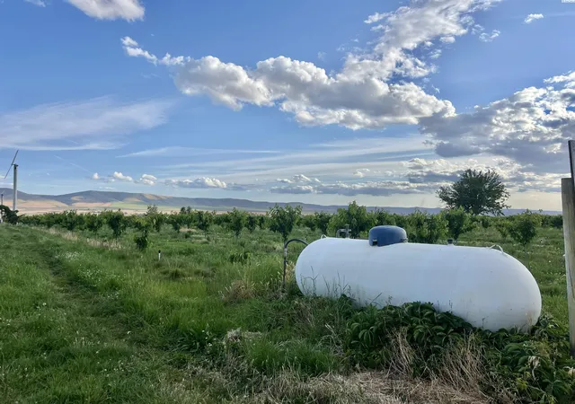 image of Tbd Robinson Rd, Grandview, WA 98930 | MLS# 293225